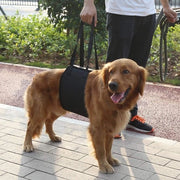 Harnas di sicurezza per cani XL - Assistente per cani - Maniglia antiscivolo - Maniglia a gancio - Materiale poliester - Portatile - Assistenza per mobilità limitata - Harnas per cani
