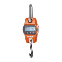 Gancio per pesatura industriale professionale 300kg/100g 3414116