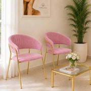 Sedie da sala da pranzo set da 2 Aurelia con schienale in velluto rosa