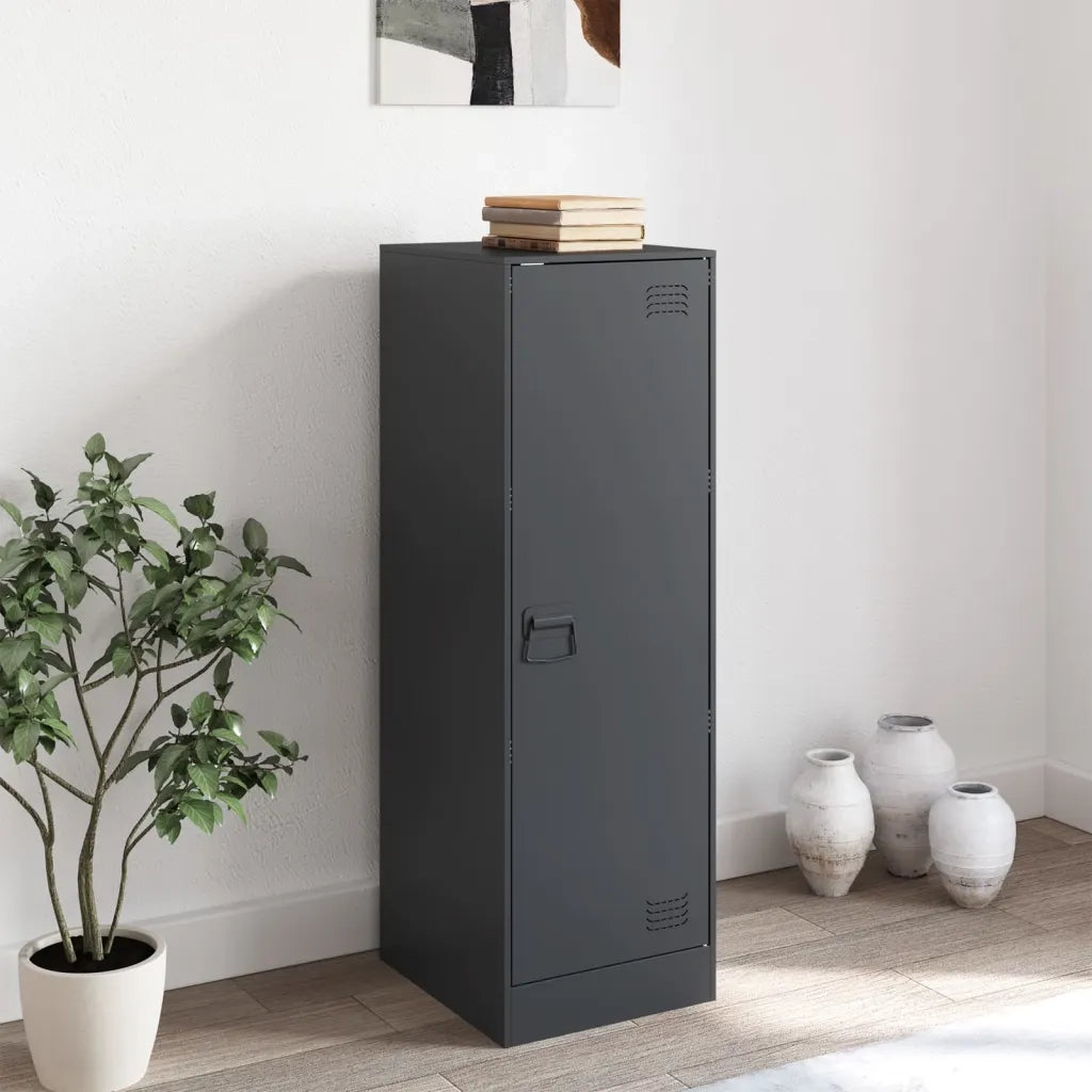 Credenza | Madia | Buffet da pranzo | Armadio da pranzo Antracite 34,5x39x107 cm in Acciaio