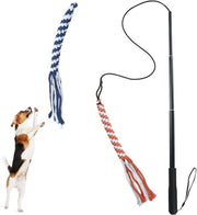 Palo di flirt per cani - Giocattolo interattivo - Adatto a tutte le razze canine