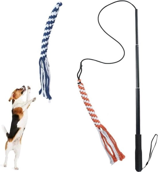 Palo di flirt per cani - Giocattolo interattivo - Adatto a tutte le razze canine