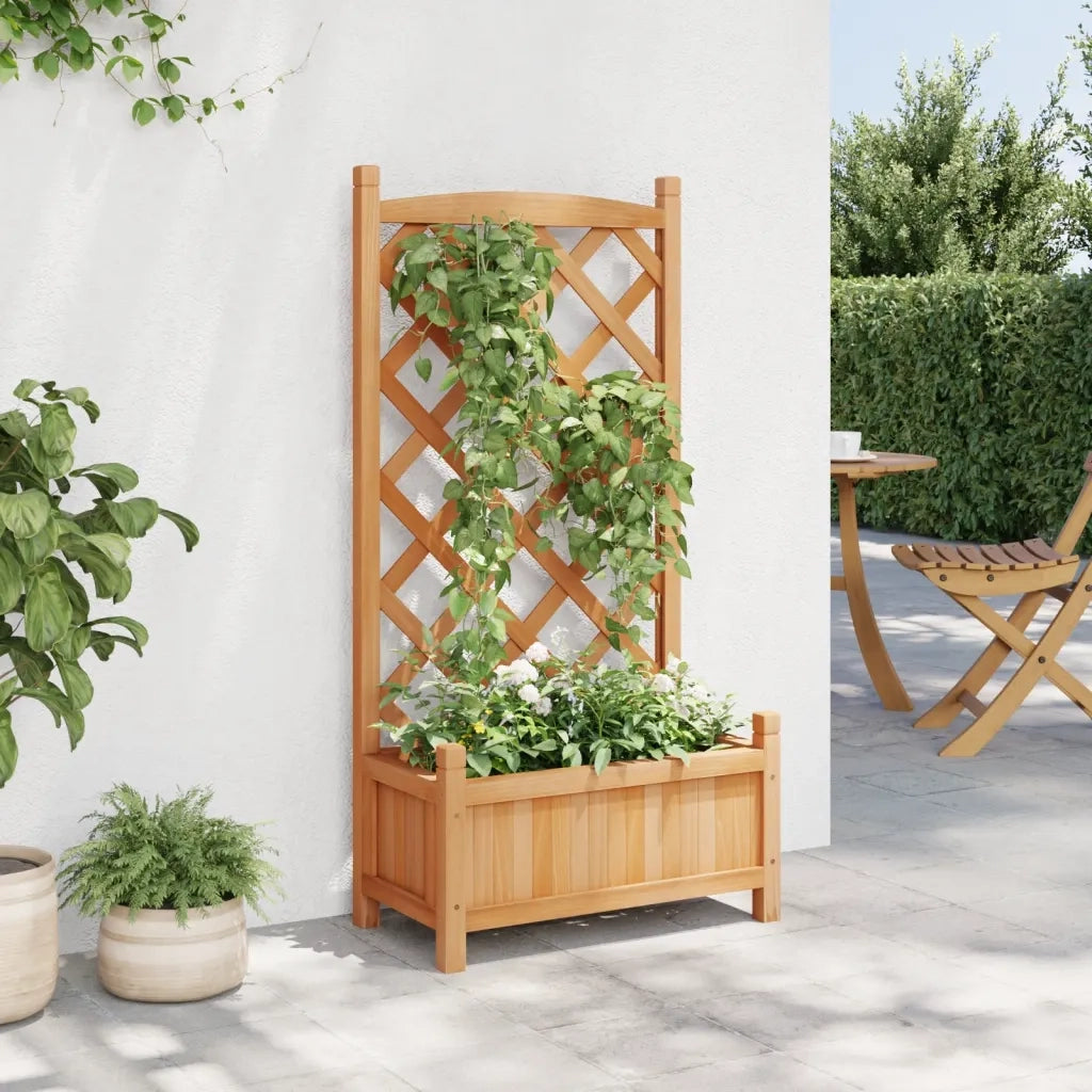 Fioriera con Traliccio Marrone 55x29,5x110 cm in Massello di Abete 365485