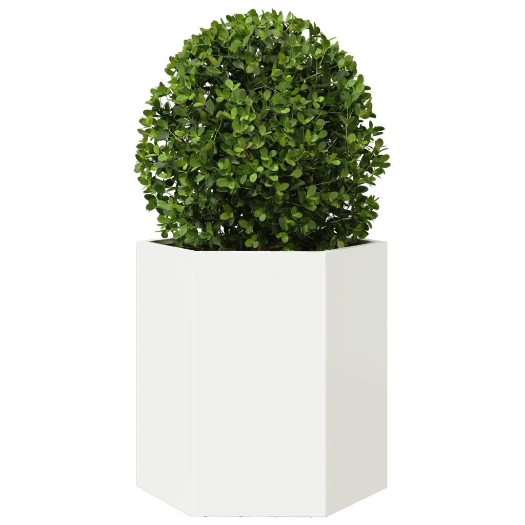 Fioriera da Giardino-Vaso da Esterno Bianca Esagono 46x40x45 cm in Acciaio