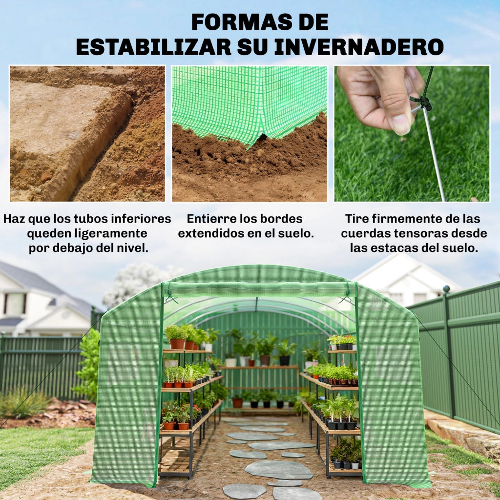 Serra a Tunnel ¨C zephmum ¨C Verde 6x3x2 m con 3 Porte a Rullo 6 Finestre a Rete Struttura in Acciaio Zincato