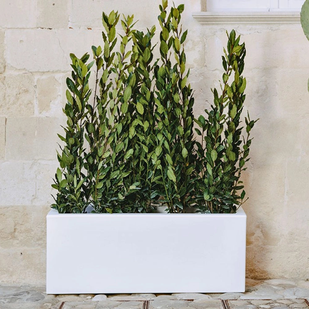FIORIERA VASO Matera RETTANGOLARE 100X40X40 cm RESINA MODERNO - MONACIS Colore: Bianco