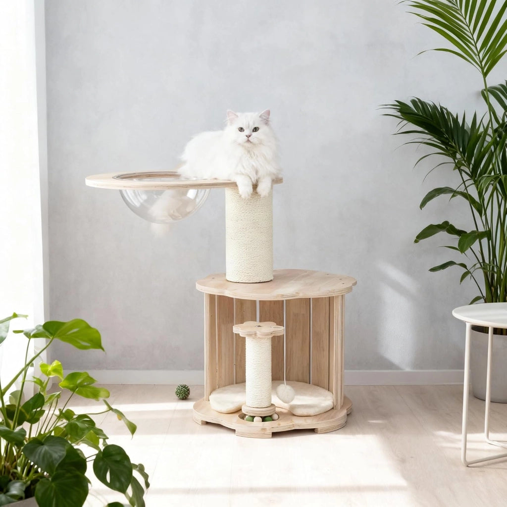 Albero tiragraffi 73 cm con tronco spesso 14 cm, capsula stanza, grotta, colonna tiragraffi, giocattolo e palla da appendere, albero per gatti e gatti