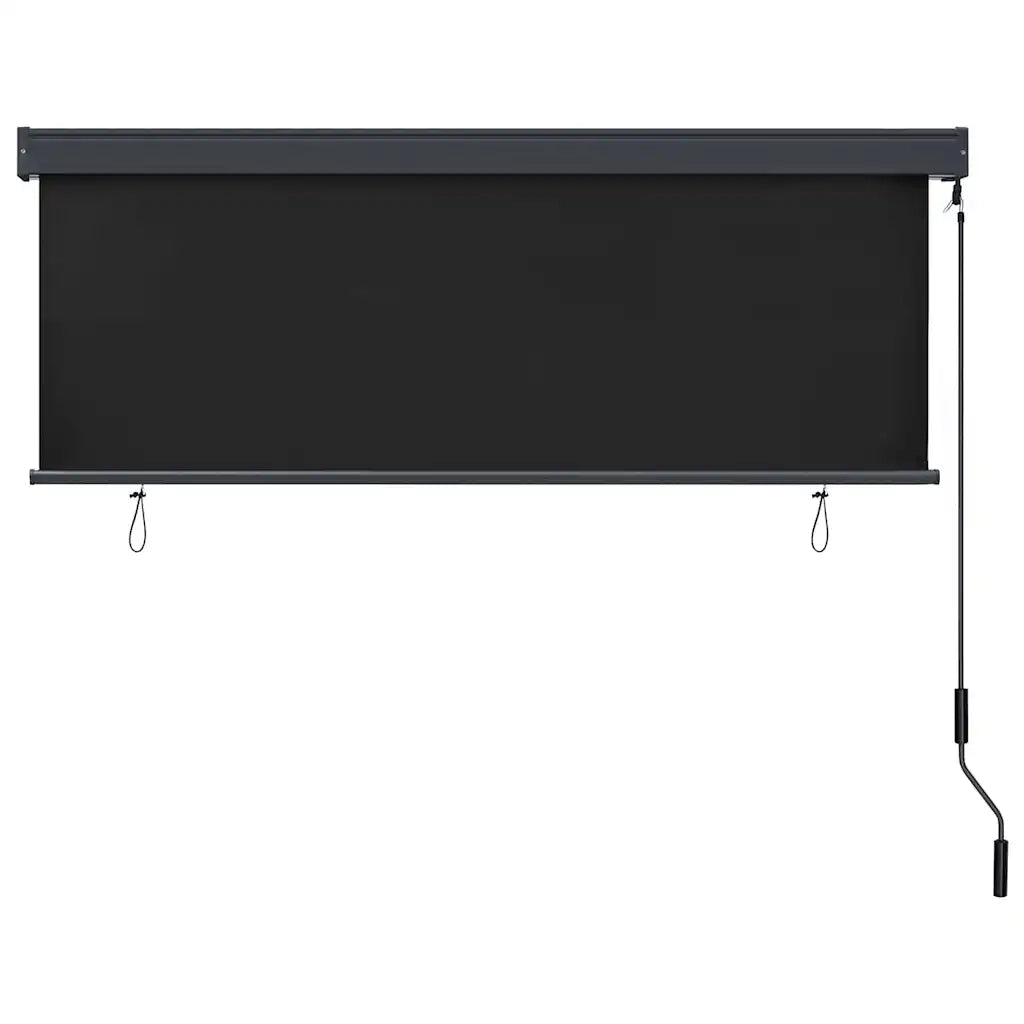 vidaXL Tenda a Rullo Esterna Rigato Antracite 180 x 250 cm Tessuto