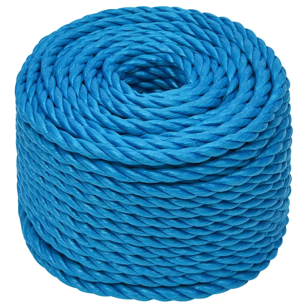 Corda da Lavoro Blu 10 mm 50 m in Polipropilene 152973