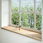 Davanzali 2 pz Non Trattati 160x40x2cm Legno Massello di Rovere 4009124