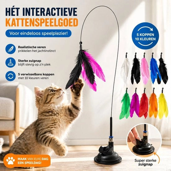 Giocattolo per Gatti con Zavorra - Giocattolo Interattivo per Gatti con Cavi - Set a 6 pezzi (5 Testine Cambiabili, Colori Casuali) - Contro la Noia & per Gatti Attivi