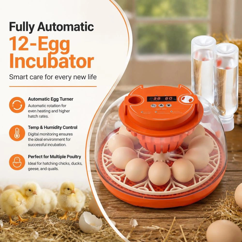 Fully Automatic 12-egg Incubator With Egg Turner, Temperature And Humidity Control, For Hatching Chicks, Ducks, Geese, And Quail.