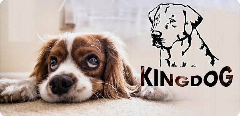 AIO FACTORY 55x45 cm KINGDOG Cuccia per cani impermeabile personalizzabile Nero