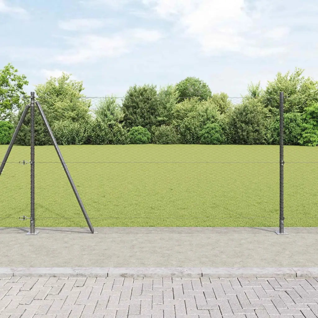 Palo della recinzione Grigio 50 x 1,2 m (25 mm rete)