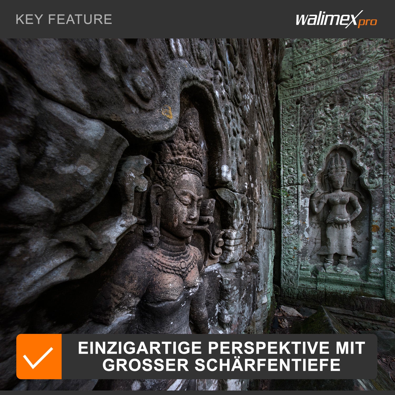 8/3,8 Fisheye II Video APS-C Nikon F