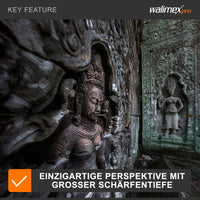 8/3,8 Fisheye II Video APS-C Nikon F