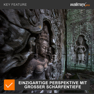 8/3,8 Fisheye II Video APS-C Nikon F