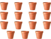Mini vaso di terracotta per piante - contenitore per piante riutilizzabile - 15 pezzi - 5,5 x 5 cm