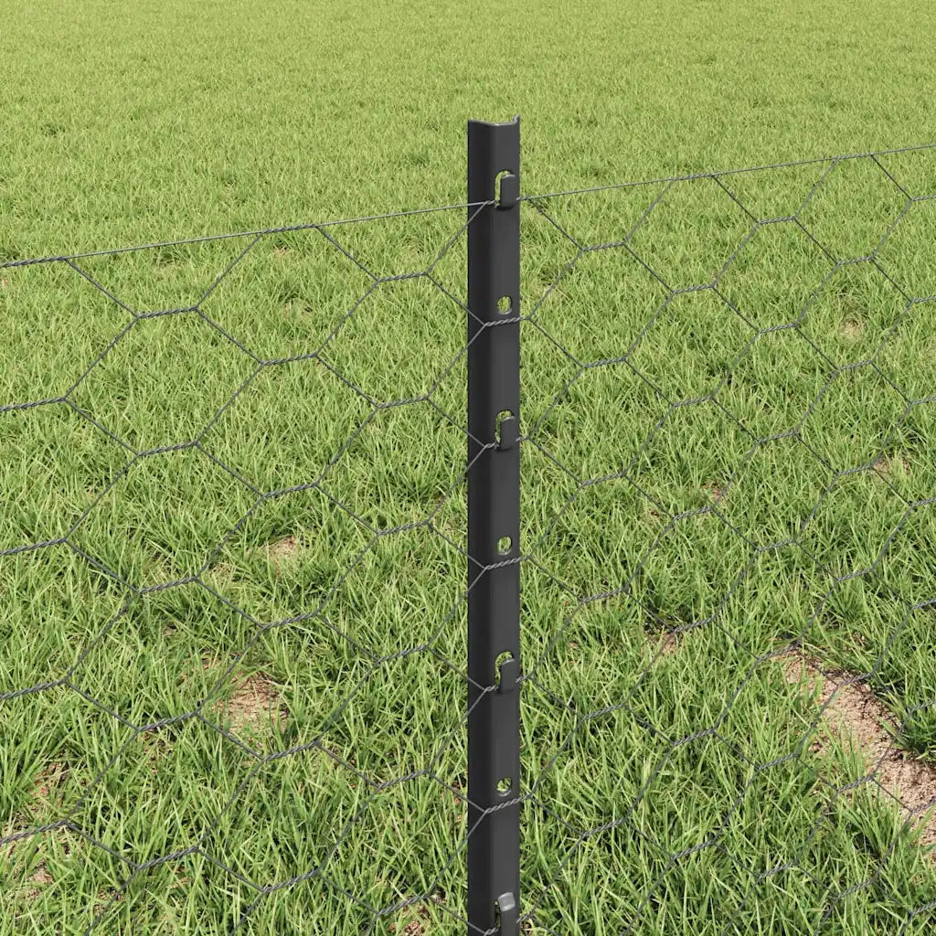 Recinzione da Giardino | Recinzione con Posto Grigio