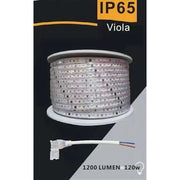 Trade Shop - Striscia Led 3535 220v 12w/mt 120led/mt 100 Mt 8mm Vari Colori Di Luce 3535-120d - -viola      -
