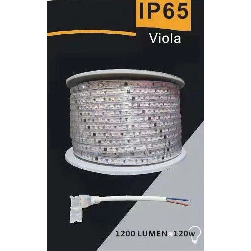 Trade Shop - Striscia Led 3535 220v 12w/mt 120led/mt 100 Mt 8mm Vari Colori Di Luce 3535-120d - -viola      -