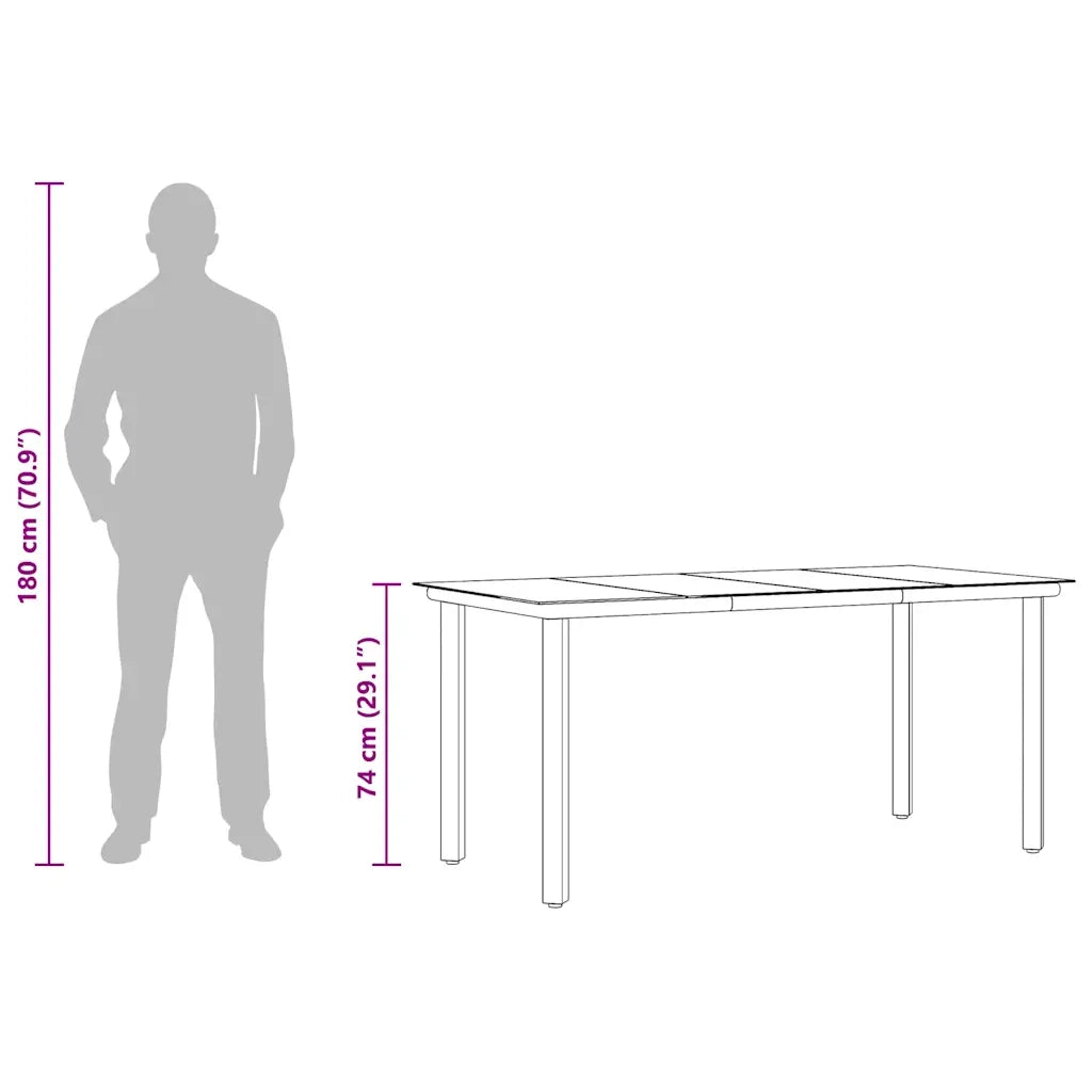 Tavolo Pranzo Giardino | Tavolino da esterno Nero 160x80x74 Acciaio e Vetro Temperato