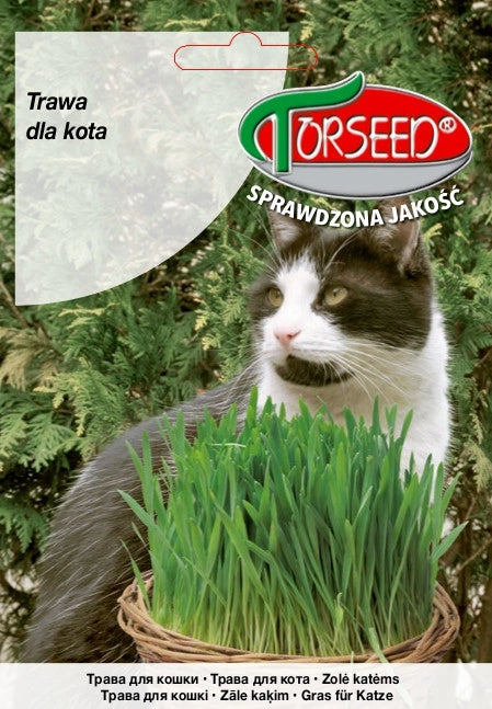 Erba gatta 30g