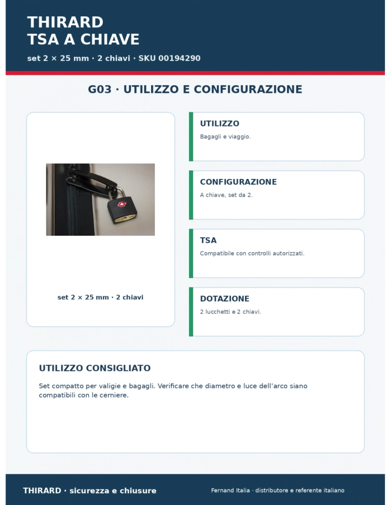 Set di 2 lucchetti TSA 25 mm per bagagli, arco nichelato, 2 chiavi – THIRARD