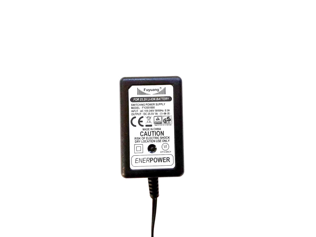 Caricabatterie 6S per batterie agli ioni di litio 21.6V-22.2V 1A DC