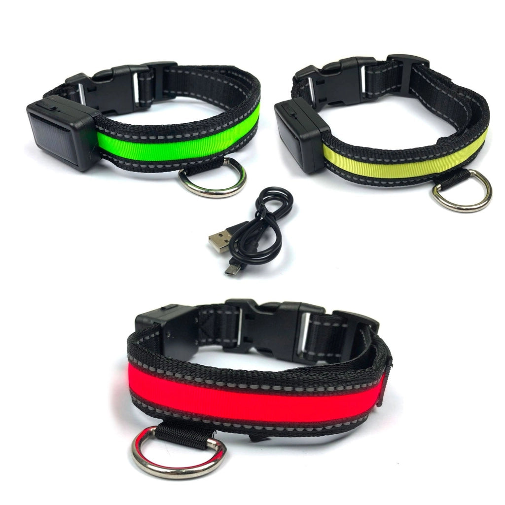Collare luminoso a LED Taglia L per cani a ricarica solare e usb Giallo