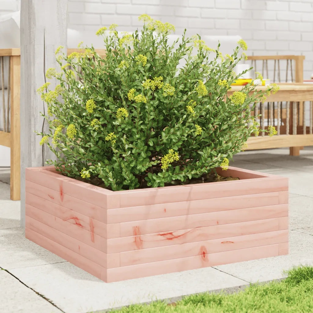 Fioriera da Giardino-Vaso da Esterno 60x60x23 cm in Legno Massello di Douglas