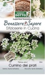 Sementi cumino