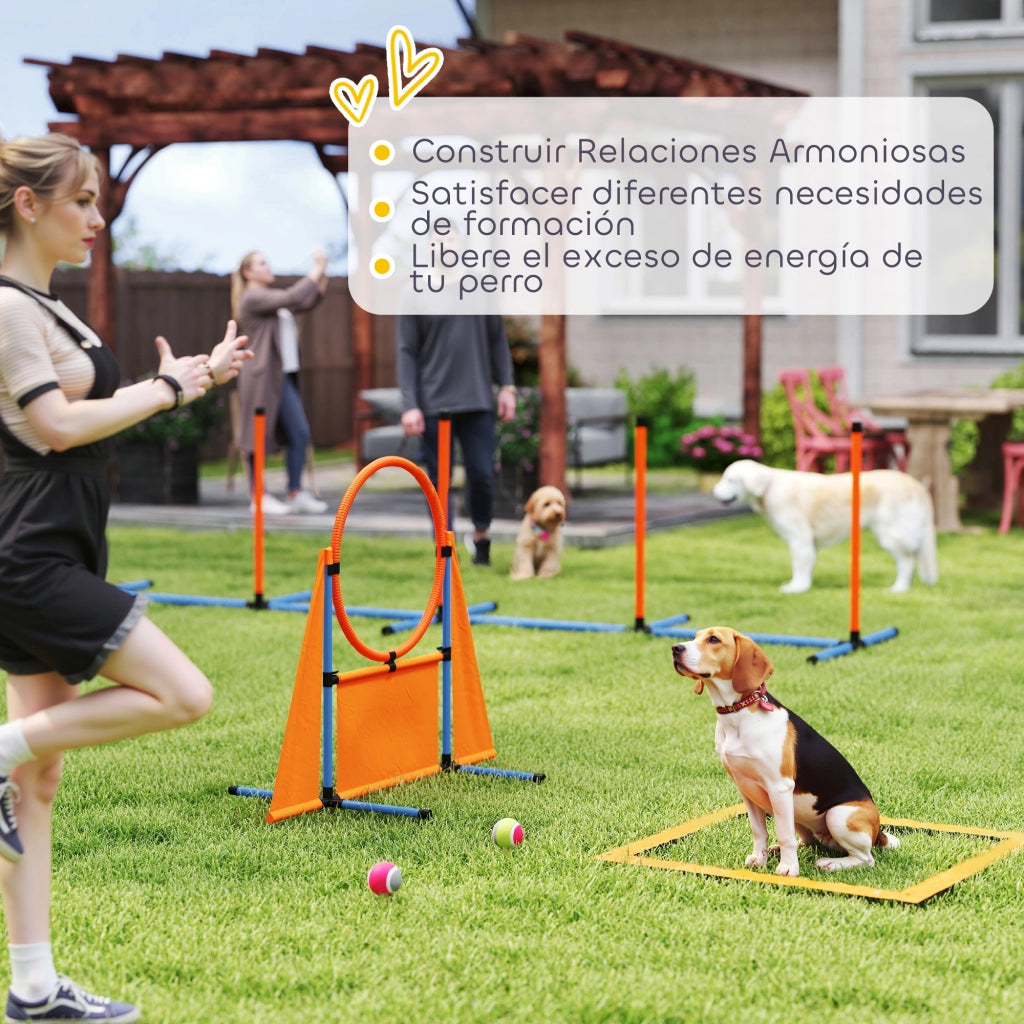 Kit Agility per Cani 6 Pezzi ¨C zephmum ¨C con Salti, Slalom, Pausa e Palline