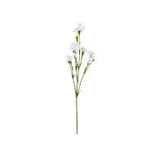 MARGHERITA 60 CM