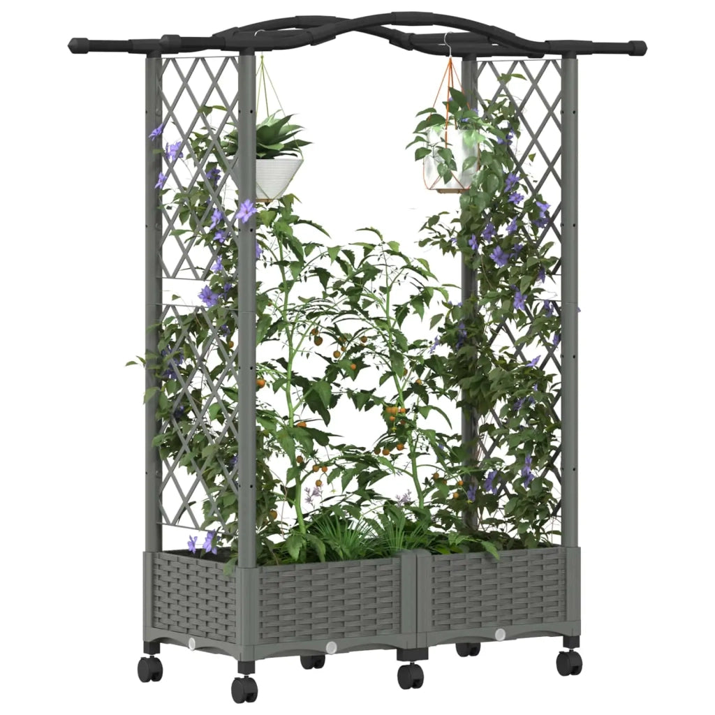 Letto Rialzato con Griglia e Tetto Grigio Chiaro PP 3423012