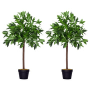 Lauriers Artificiali ¨C zephmum ¨C Verde 90cm 2 Pezzi con Vaso