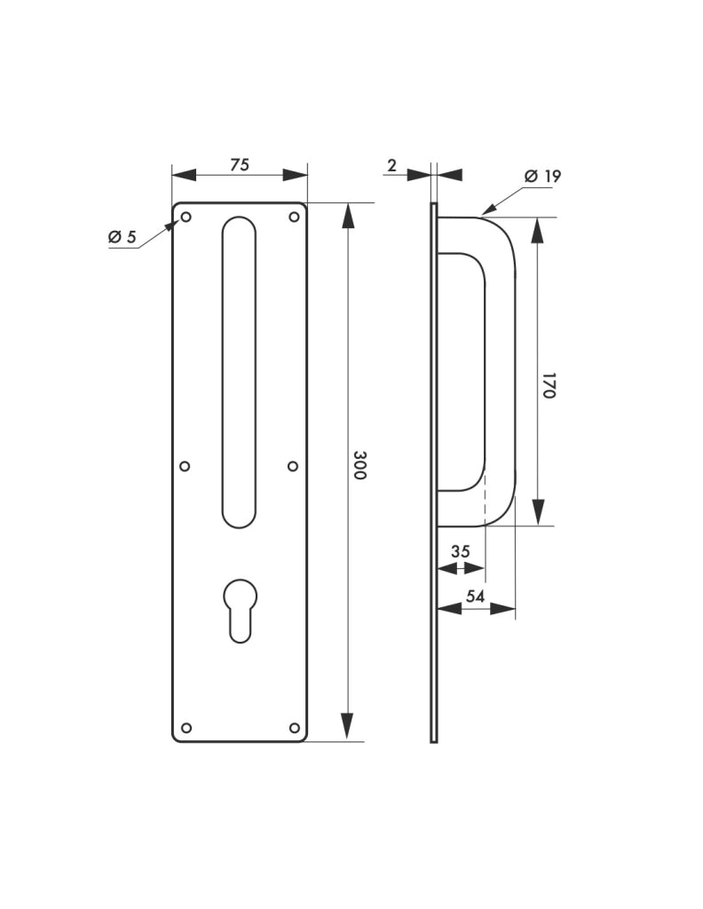Maniglione in acciaio inox con piastra 300 x 75 mm per cilindro europeo – THIRARD
