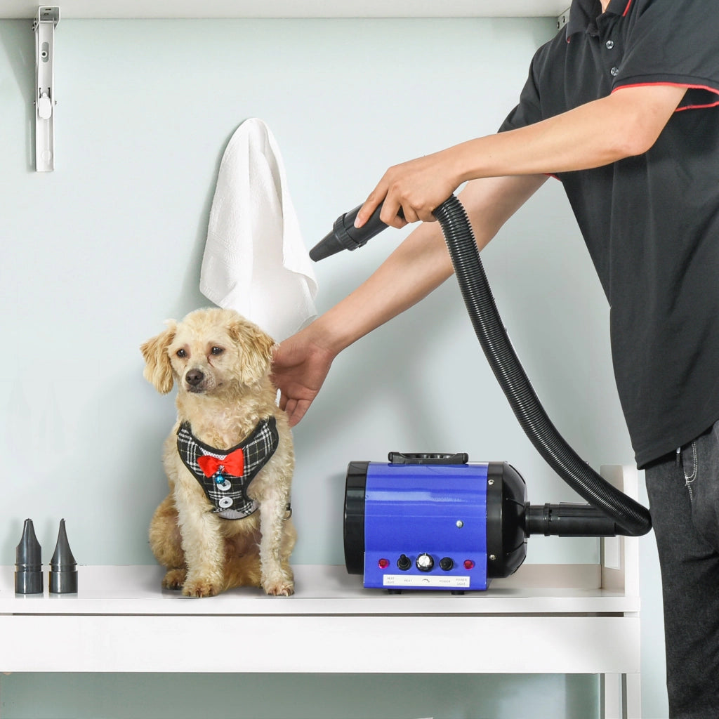 Asciugatore Professionale per Animali Domestici ¨C Minimal ¨C 2800W Blu con 3 Buse