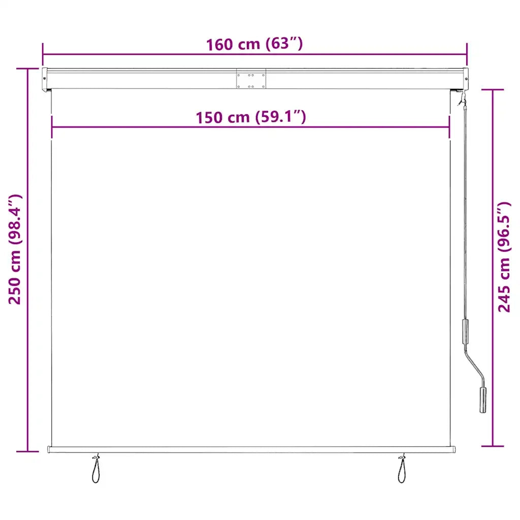 Tenda a Rullo per Esterni 160x250 cm Blu e Bianca 145973