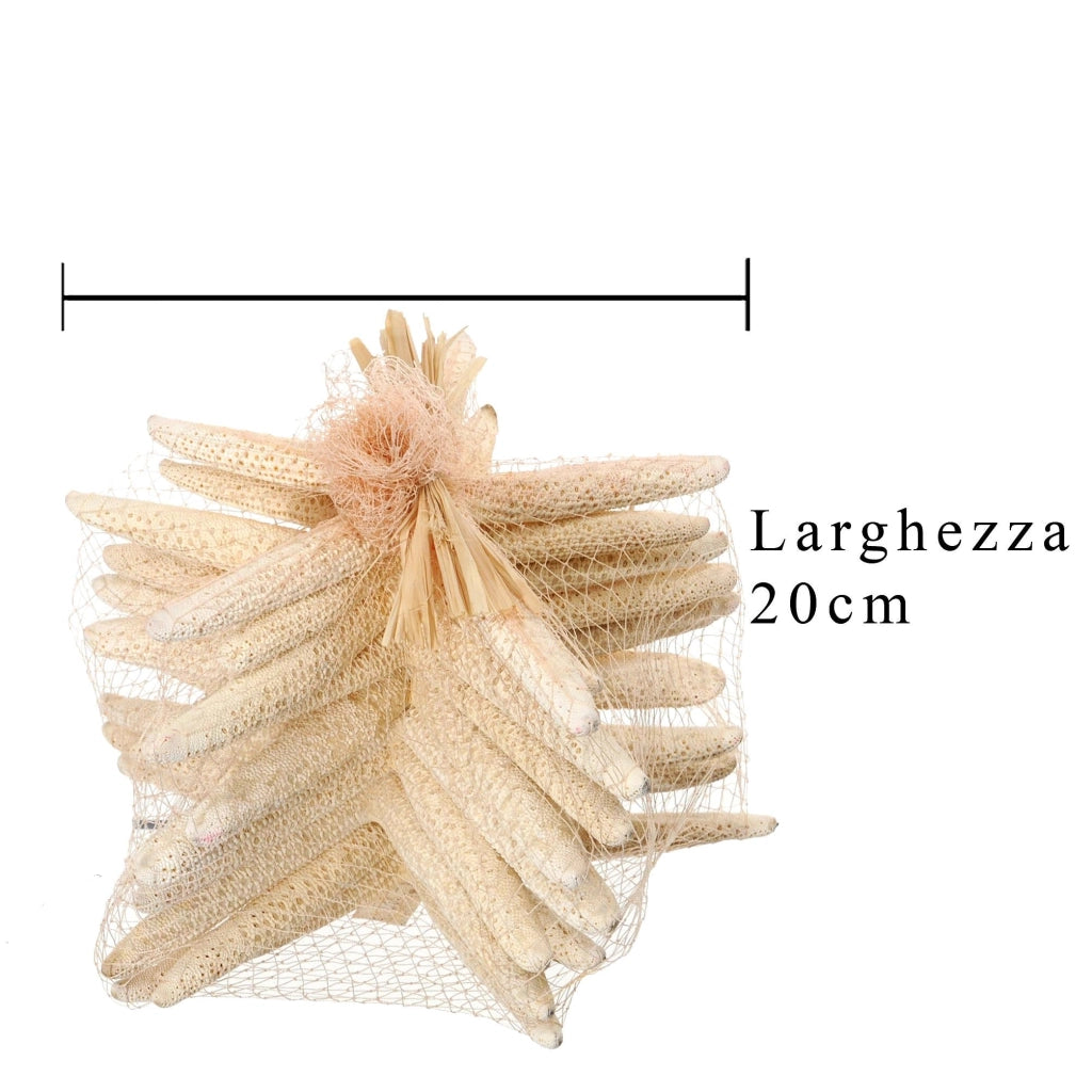 Stelle Marine Sbiancata 10 Pz 15x20 cm