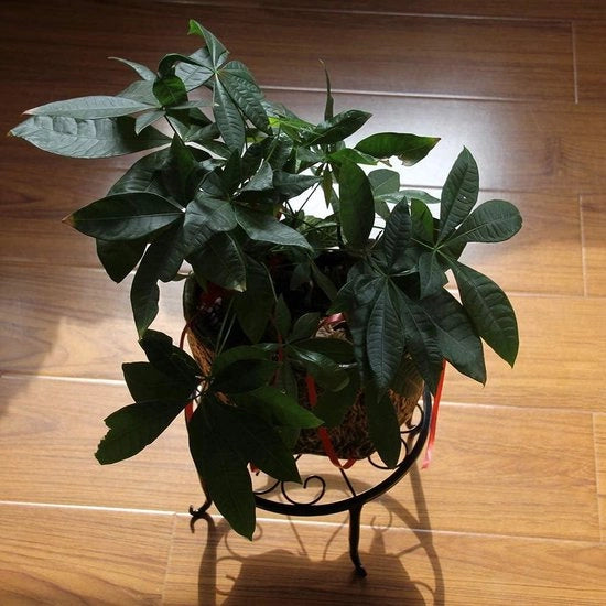 Supporto per piante 2 in 1 metallico per vaso - vaso per piante in acciaio arrugginito rotondo - supporto per piante per casa vaso per piante per pavimento - vaso per piante rotondo in ferro per giardino indoor balcone decorazione (nero)
