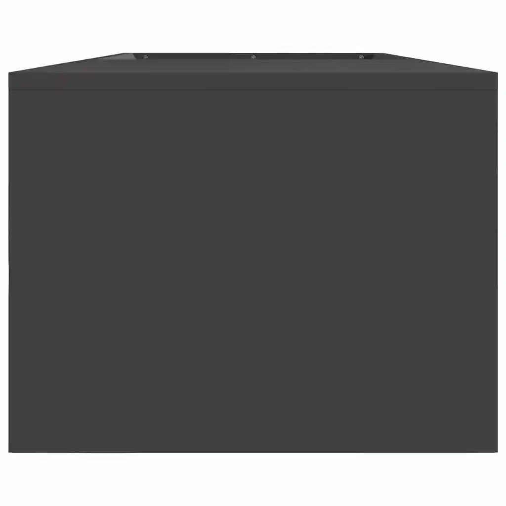 Focolare Nero 160 x 45 x 35 cm Acciaio CFW9244231