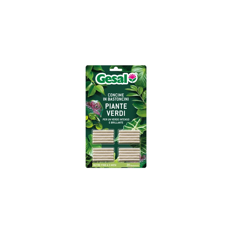 Concime in bastoncini per piante verdi – 20 pezzi – GESAL – Nutrimento equilibrato e foglie brillanti