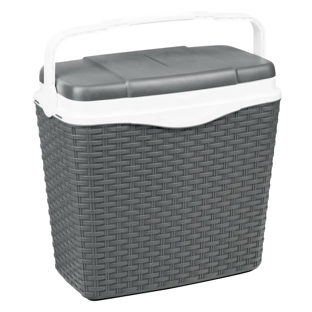 HI Box Frigo con Manico 24 L in Plastica Antracite 446209