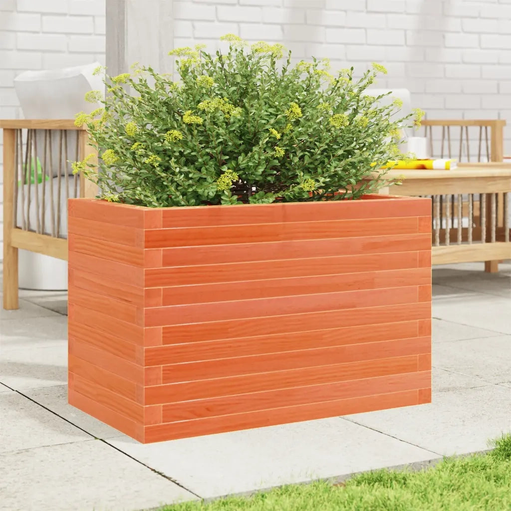 Fioriera | Cassetta per fiori | Vaso Giardino Marrone Cera 70x40x46 cm Legno Massello Pino