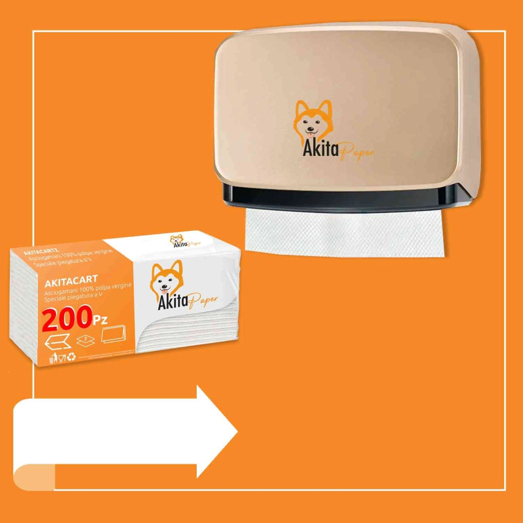 Akitaink 1000 Asciugamani Carta Piegati C V