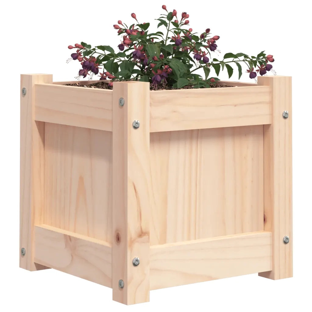 Fioriera da Giardino 31x31x31 cm in Legno Massello di Pino 837394