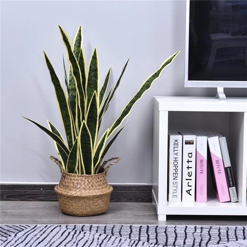 SANSEVERIA ARTIFICIALE PIANTA DA ESTERNO E INTERNO CON VASO DECORATIVO REALISTICA VERDE E GIALLO ?15CM X 80CM