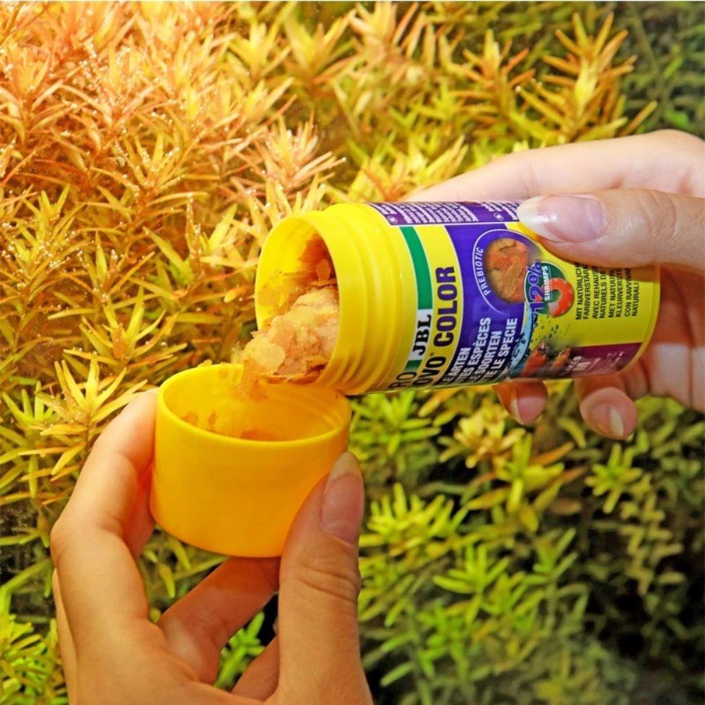 JBL ProNovo Color Flakes M - fioccato per colori brillanti per tutti i pesci tropicali da 8 a 20cm Formato: 100 ml