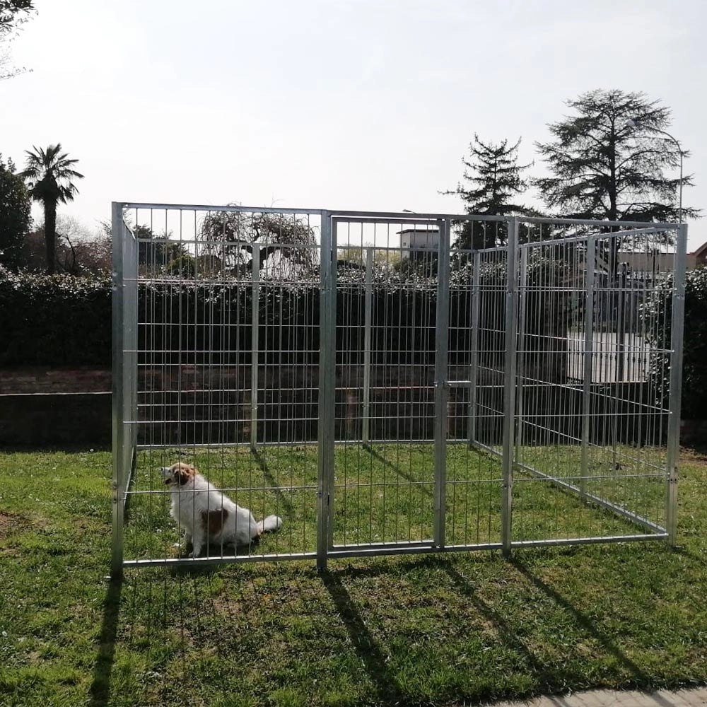 Recinto solo perimetro in rete modulare per cani da 3x3 metri zincatura elettrolitica